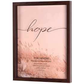 Framed Wall Art Hope For I Know Plans