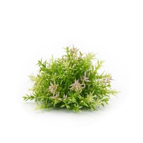 Set of Six 10" Green Artificial