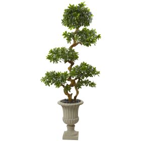 Pittosporum Tree in Urn UV Resistant (Indoor/Outdoor)