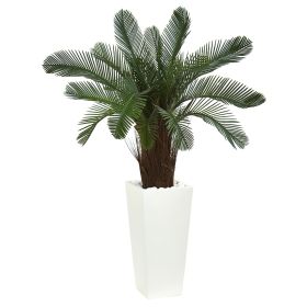 Cycas Tree in White Planter UV Res (Indoor/Outdoor)