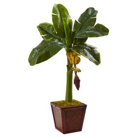 Banana Tree in Wooden Planter (size: 3')